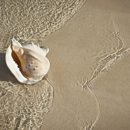 Atlantic Garden Mate Apartament Corralejo