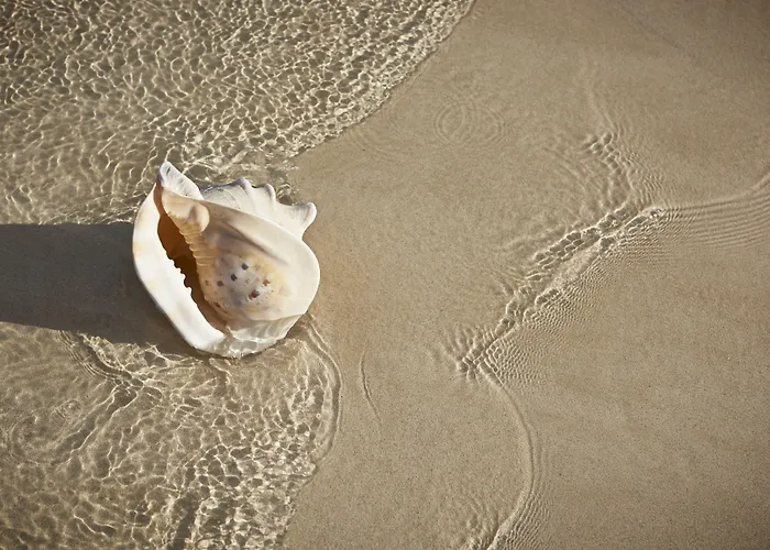 Atlantic Garden Mate شقة كوراليهو