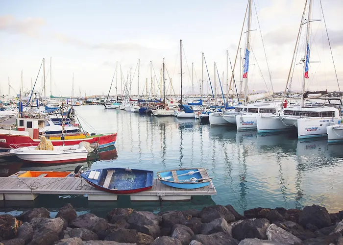 Atlantic Garden Mate كوراليهو